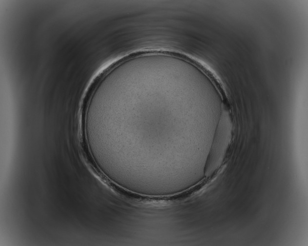 X0000083580982200703021811