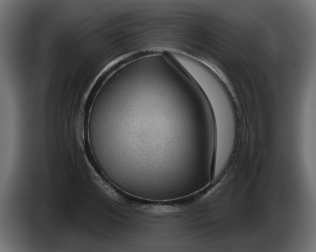 X0000083580984200703021811