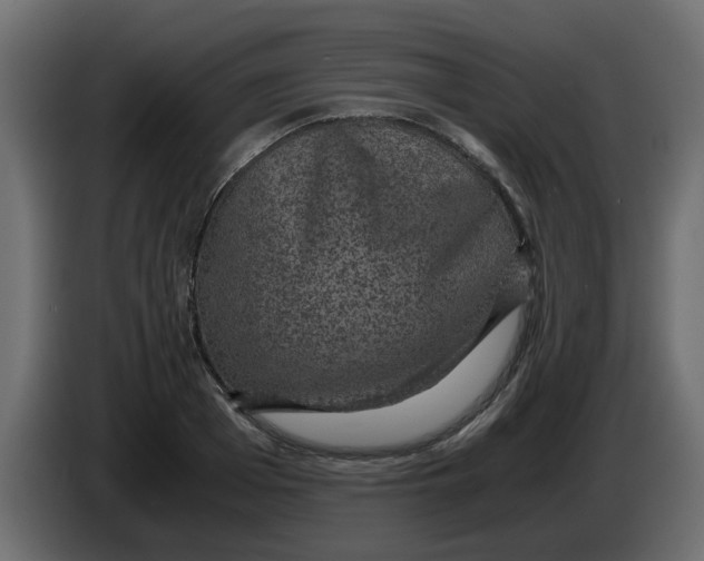 X0000083580985200703021811