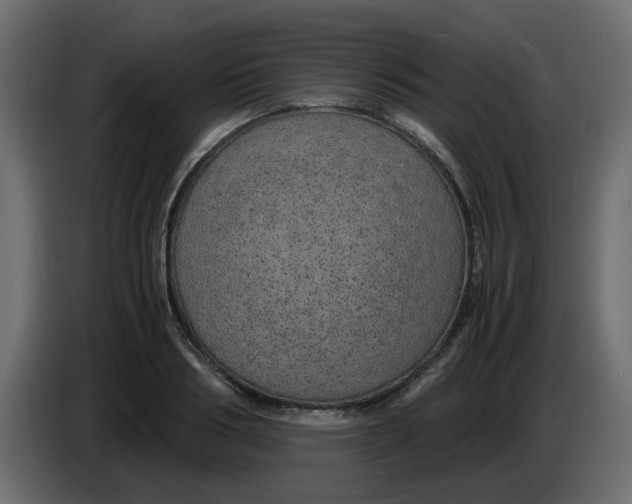 X0000083580986200703021811