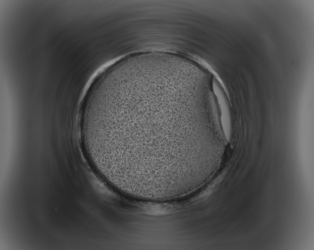 X0000083580987200703021811