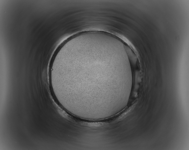 X0000083580988200703021811