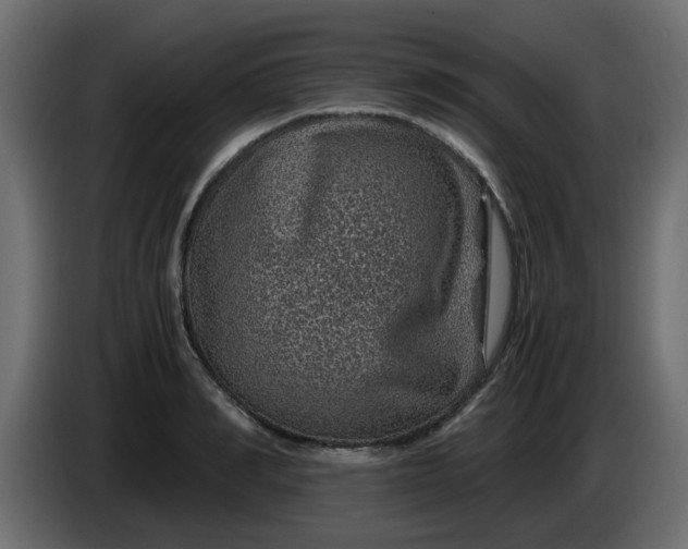 X0000083580990200703021810