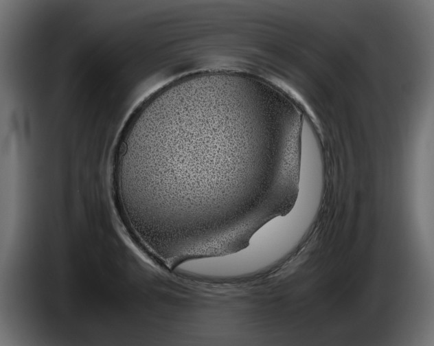 X0000083580991200703021810