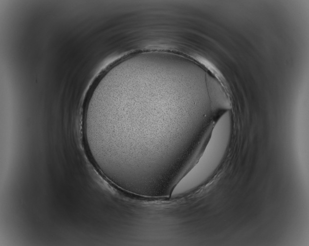 X0000083580992200703021810