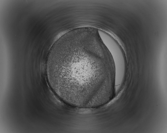 X0000083580993200703021810