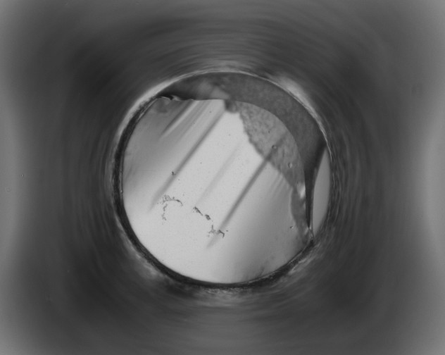 X0000083580995200703021810