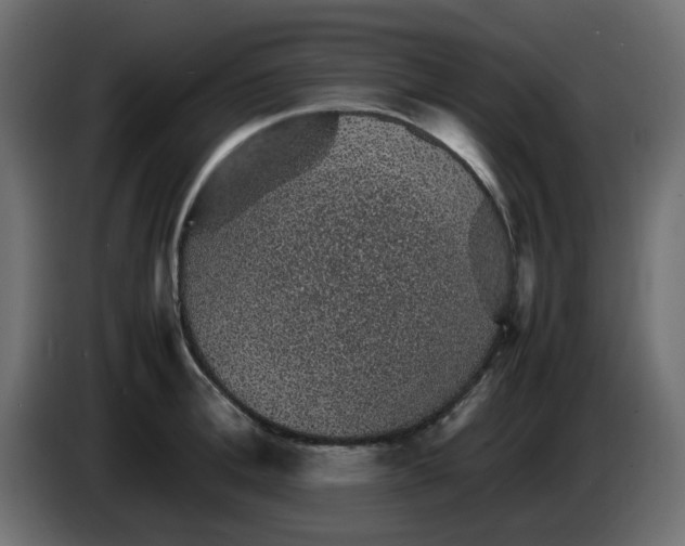 X0000083580996200703021810