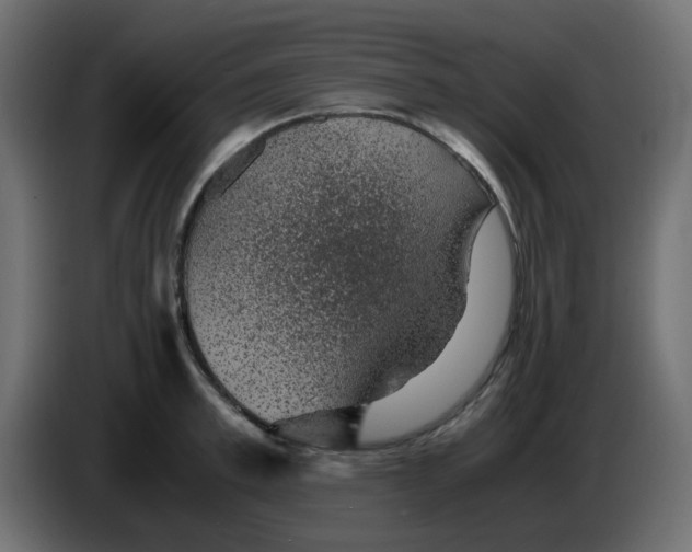 X0000083580997200703021810