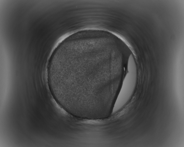 X0000083580998200703021810