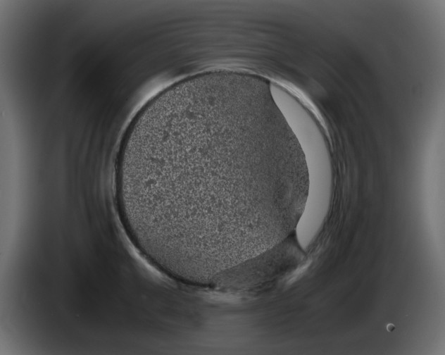 X0000083580999200703021810