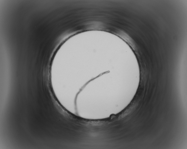 X0000083581000200703021810