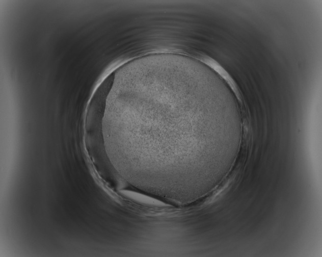 X0000083581002200703021810