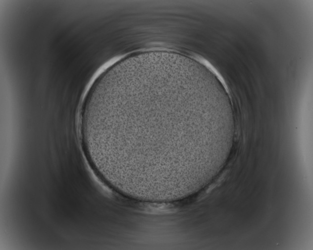 X0000083581003200703021810