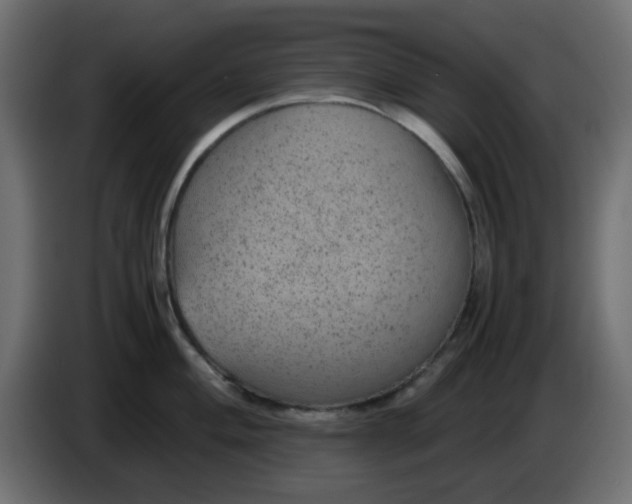 X0000083581004200703021810