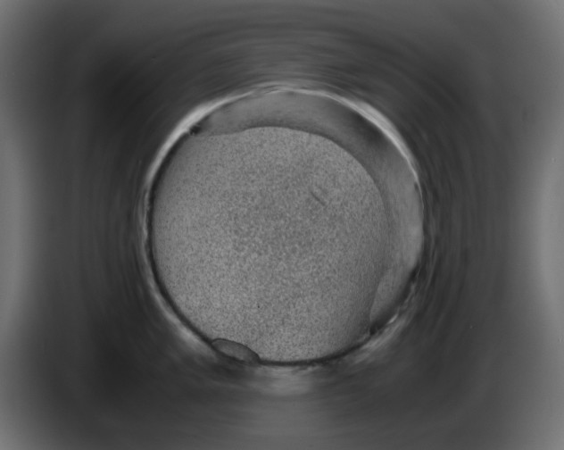 X0000083581005200703021810