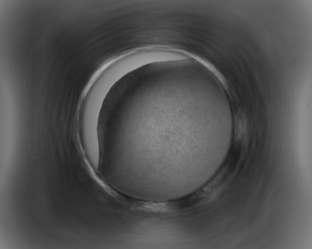 X0000083581006200703021810