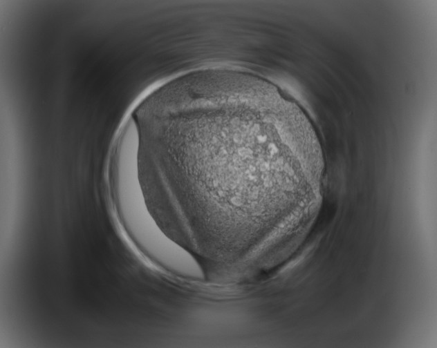 X0000083581007200703021810