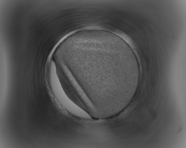 X0000083581008200703021810