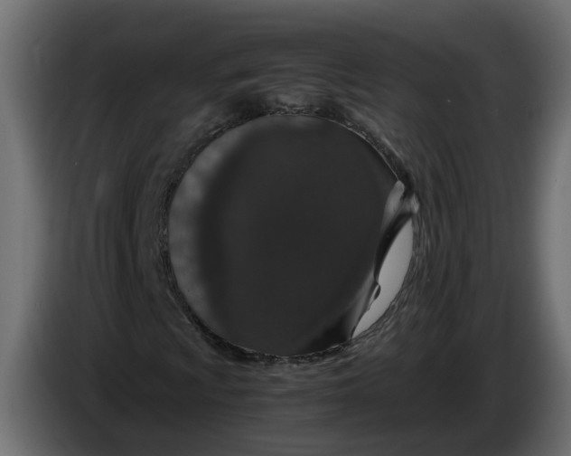 X0000083581009200703021809