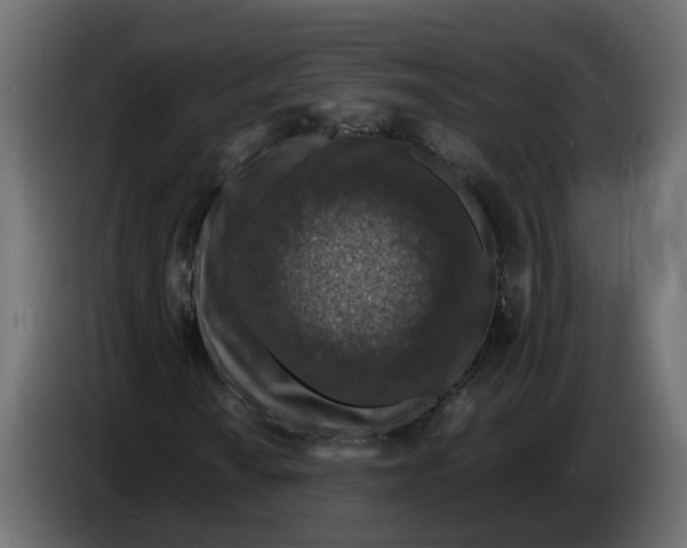 X0000083581010200703021809