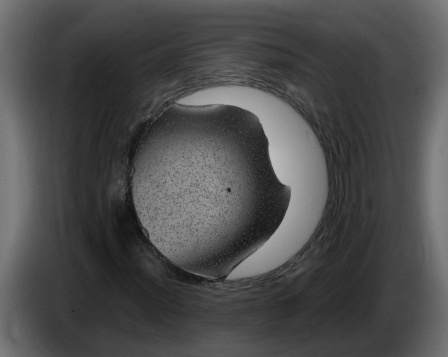 X0000083581012200703021809