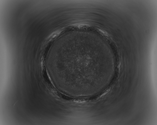 X0000083581014200703021809