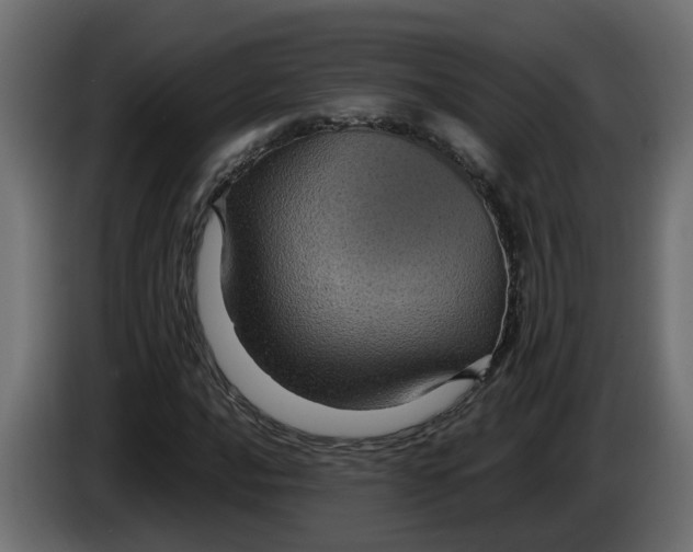 X0000083581016200703021809