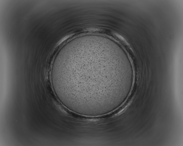 X0000083581017200703021809