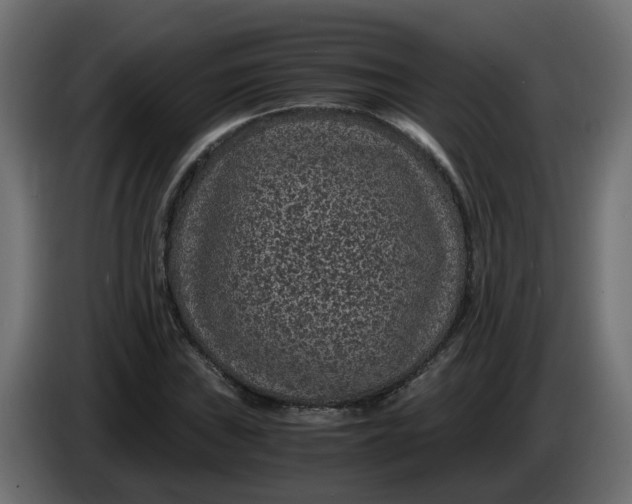 X0000083581019200703021809