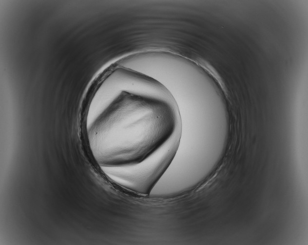 X0000083581020200703021809