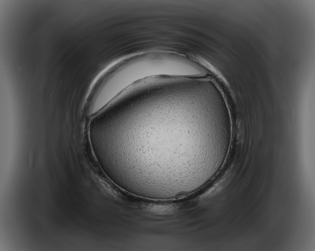 X0000083581021200703021810