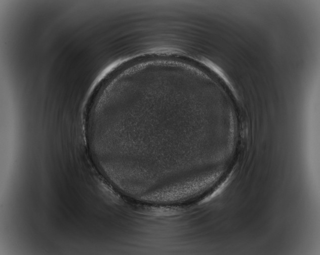 X0000083581022200703021810