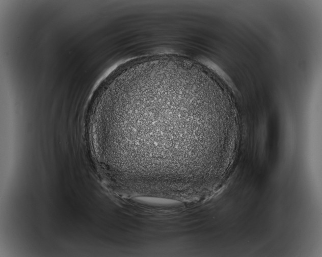 X0000083581023200703021810