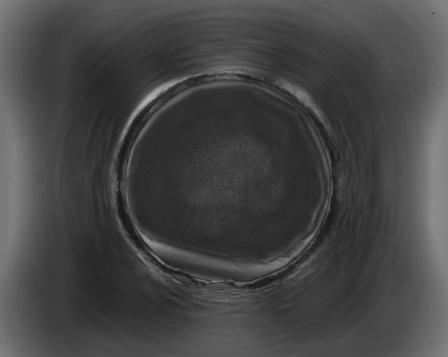 X0000083581024200703021810