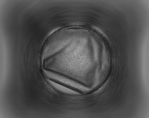 X0000083581025200703021810