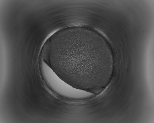 X0000083581026200703021810