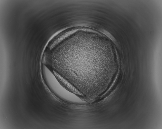 X0000083581028200703021810