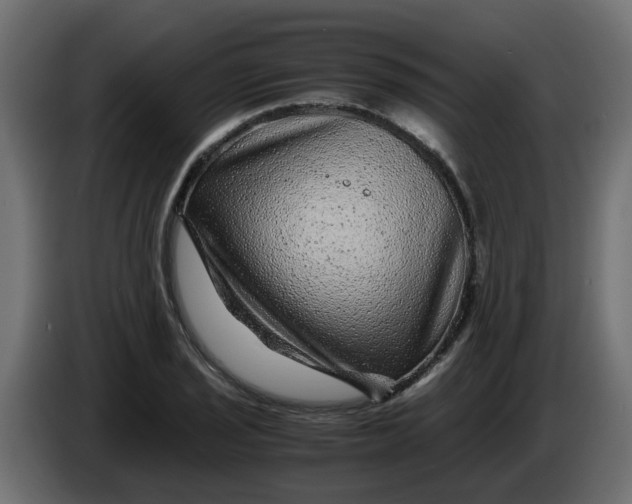 X0000083581029200703021810