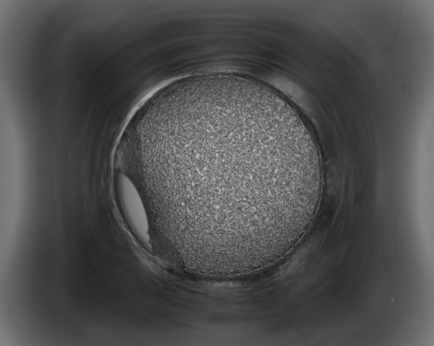 X0000083581031200703021810