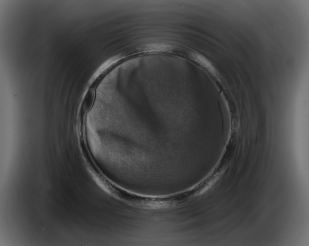 X0000083581034200703021810