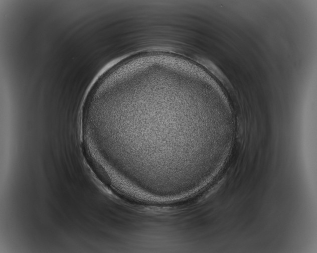 X0000083581036200703021810