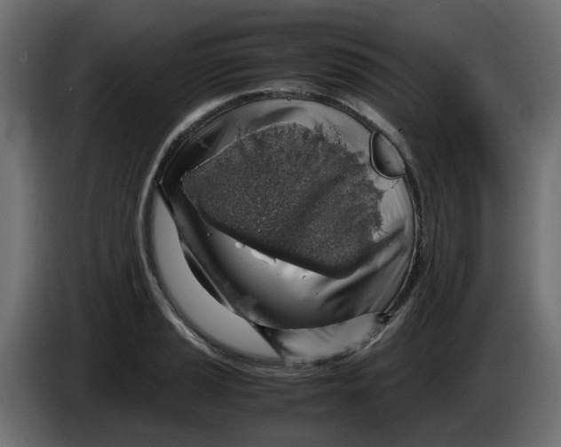 X0000083581037200703021810