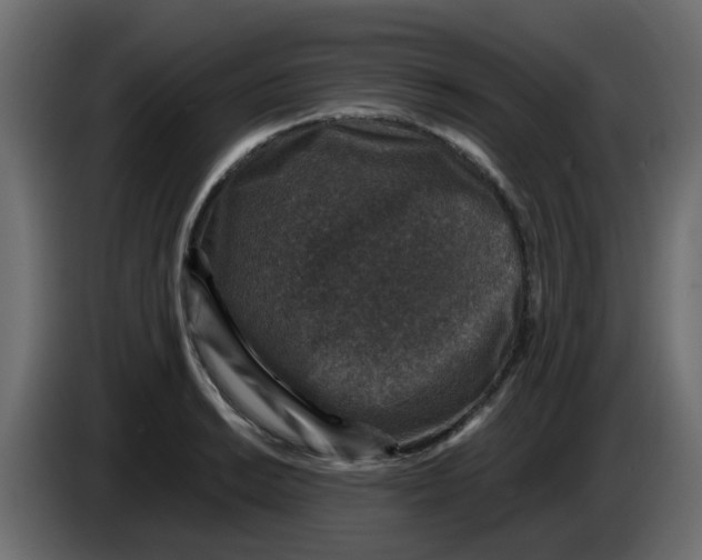 X0000083581038200703021810