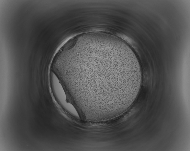 X0000083581039200703021810