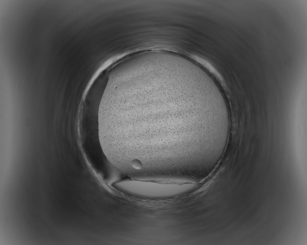 X0000083581040200703021810