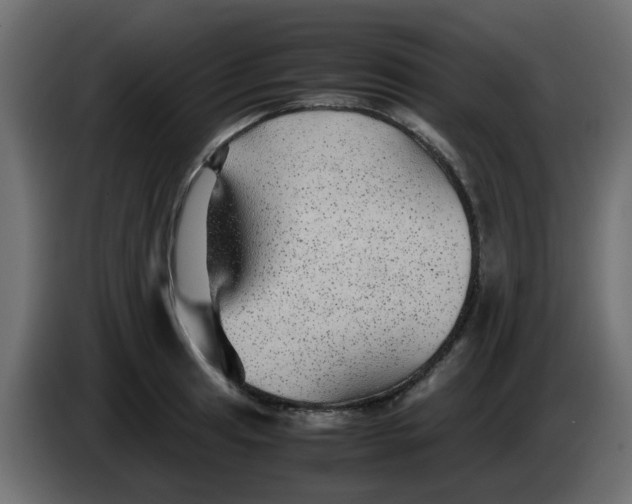 X0000083581041200703021810