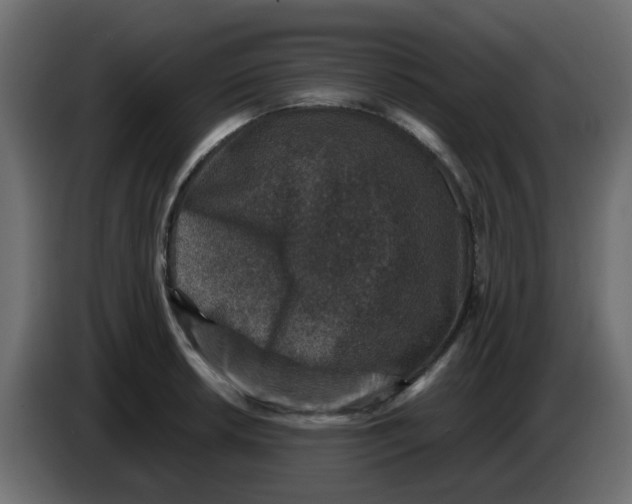 X0000083581042200703021810