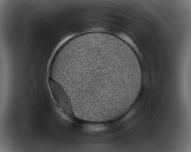 X0000083581043200703021810