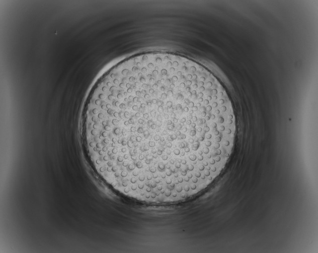 X0000083581044200703021810